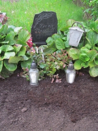 <p>Das Grab von Dora Brandt auf dem Friedhof Kaišiadorys. 2016.<br />
<em>Fotograf Ramunė Driaučiūnaitė</em></p>

