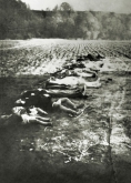 <p>Išprievartautos ir sadistiškai nužudytos moterys ir mergaitės Nemerkiemyje. Rytų Prūsija, 1944 m. spalio 21 d.<br />
<em>Rytprūsių kraštiečių draugija, Rytų Prūsijos vaizdų archyvas</em></p>
