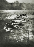 <p>Vergewaltigte und auf sadistische Weise ermordete Frauen und Mädchen in Nemmersdorf. Ostpreußen, 21. Oktober 1944.<br />
<em>Bildarchiv Ostpreußen/Landsmannschaft Ostpreußen e. V.</em></p>
