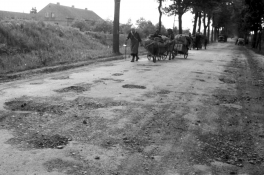 <p>Karo pabėgėlių kolona. Šalia vežimų eina vaikai. Karaliaučiaus sritis, Rytų Prūsija, 1945 m. birželio 5 d. Fotografas P. Karpavičius.<br />
<em>Lietuvos centrinis valstybės archyvas</em></p>
